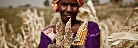 Woman with ears of corn