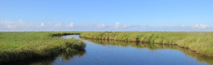 Paul J. Rainey Wildlife Sanctuary
