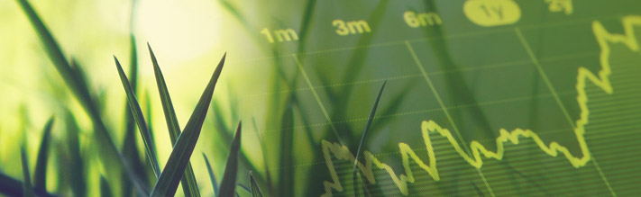 Collage of grass and financial chart