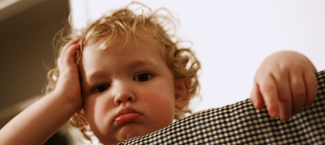 BPA-free safety information