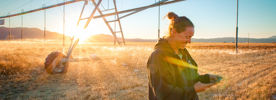 Denise Moyle uses an online platform called OpenET to check water use on her Nevada farm