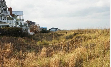 Sand dunes in Hampton Roads, Virginia