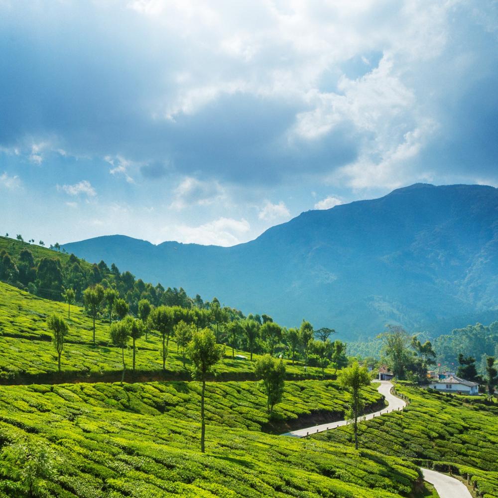 Indian countryside with mountains on a mostly sunny day