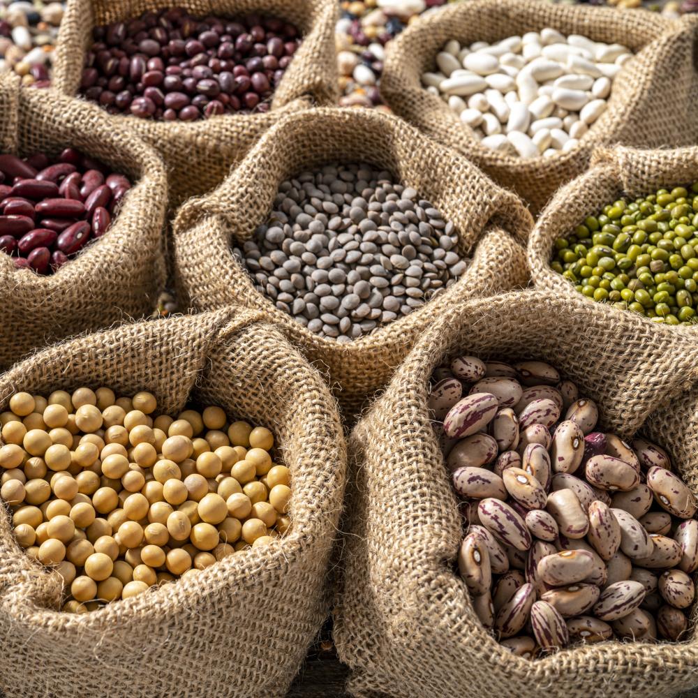 Many sacks of different, colorful beans.