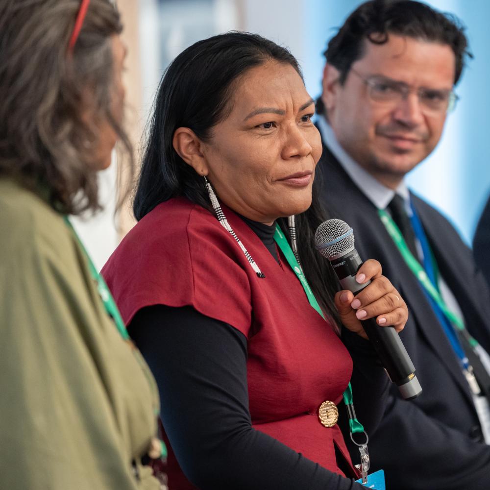 Speakers at a 2025 event on the road to COP30.