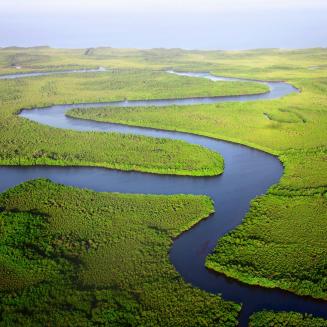 Wetlands