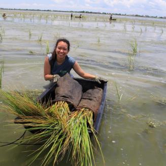 Volunteer for the Coalition to Restore Coastal Louisiana planting native swamp grasses