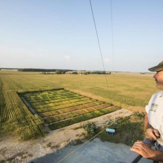 Indiana farmer Rob Ternet looking out over farmland