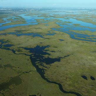 Aerial photo Louisiana coastline