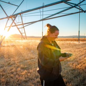 Denise Moyle uses an online platform called OpenET to check water use on her Nevada farm