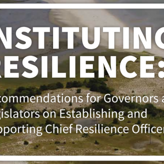 Instituting Resilience