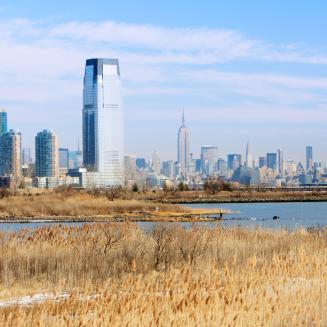 Skyline of Manhattan with wetlands