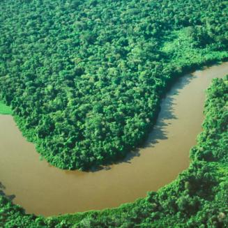 Aerial rainforest with river