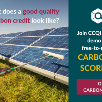carbon credit quality