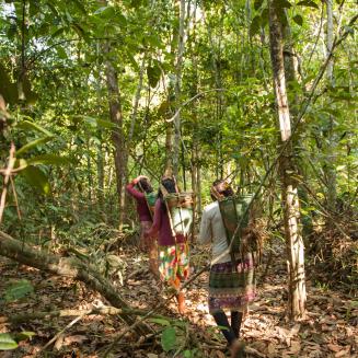 Kayapo women trek in the Amazon rainforest in Mato Grosso, Brazil
