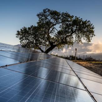 Solar panels with tree and mountains in background