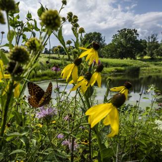 The beautiful landscape of the Kokosing Nature Preserve cemetery in Ohio