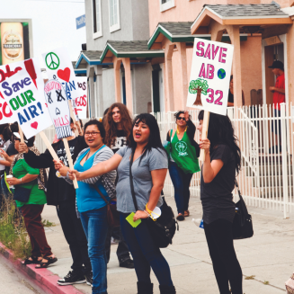 A group of protestors holding picket signs