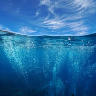 Bubbles surface in the ocean