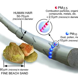 Fine particle pollution is smaller than a human hair
