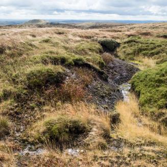 Peat bog moor in Autumn, Kinder Scout, Derbyshire, Peak District National Park, England, UK.