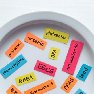 A bunch of chemical names written on slips of paper on a plate