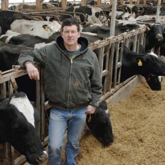 A white male farmer stands in front of dairy cows in a barn.