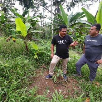 Two men walk through a jungle in Ecuador