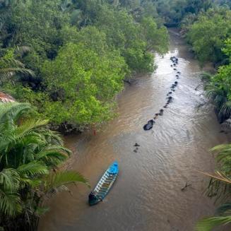 A boat on a river in the rainforest