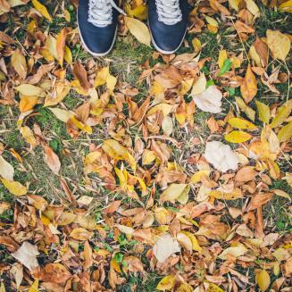 A pair of shoes standing on fallen autumn leaves from personal perspective