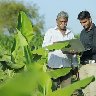 Two men standing in a field examining agricultural data on a computer