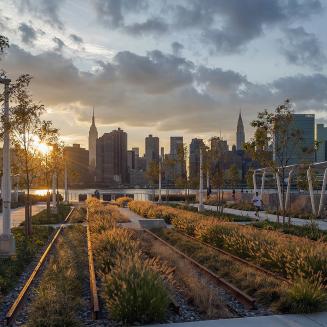 A lush garden with the New York City skyline as the backdrop