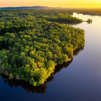 Forested island in a body of water in Wisconsin