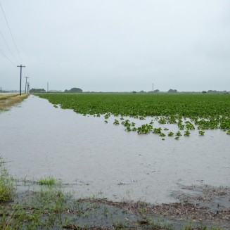 climate change causes flooding in ag field