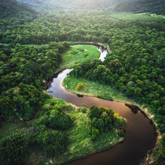 A overhead shot of a river flowing through rainforest