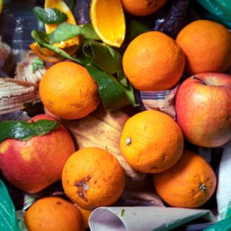 Fruits and other compost in a green composting bag