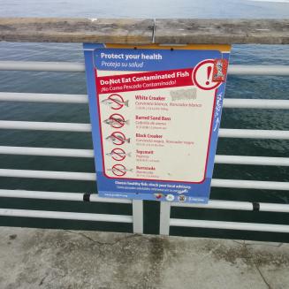 A sign attached to a pier warning of the dangers of eating contaminated fish