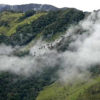 A mountain surrounded by clouds in Valle de Cocora, Salento, Quindio, Colombia