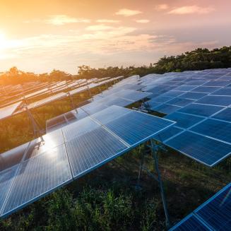 A huge row of solar panels under a setting (or rising) sun