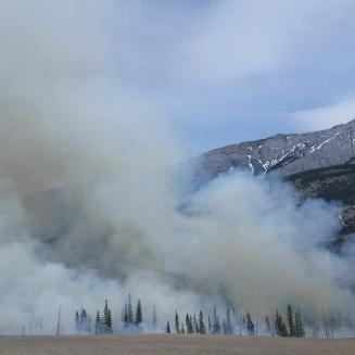 Smoke rises from a forest fire in front of snowy mountain peaks