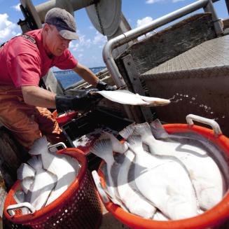 Fisherman with his catch