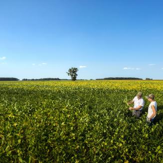 Two people standing in a field under a bright blue sky.