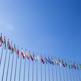 International flags on flagpoles against a clear blue sky