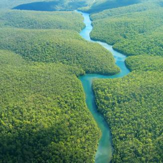 Aerial view of a turquoise river running through green rainforest