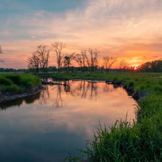 Scenic view of river and wetlands at sunrise or sunset