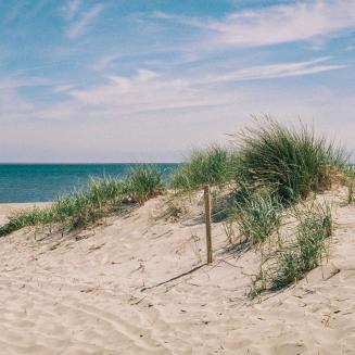 Sand dunes next to the ocean
