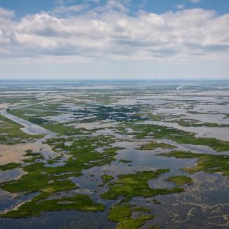 Aerial view of Louisiana wetlands
