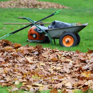 Fall leaves on a lawn with lawn equipment