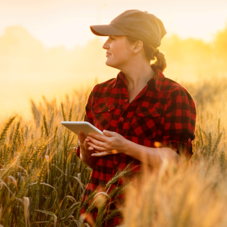 Wheat farmer (female) looking into the distance with sun shining down