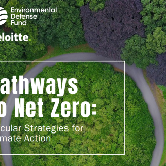 Pathways circularity